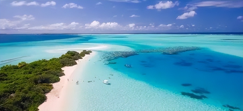 100个句子记完5500个单词最新版本,100个句子记完的7000单词讲解