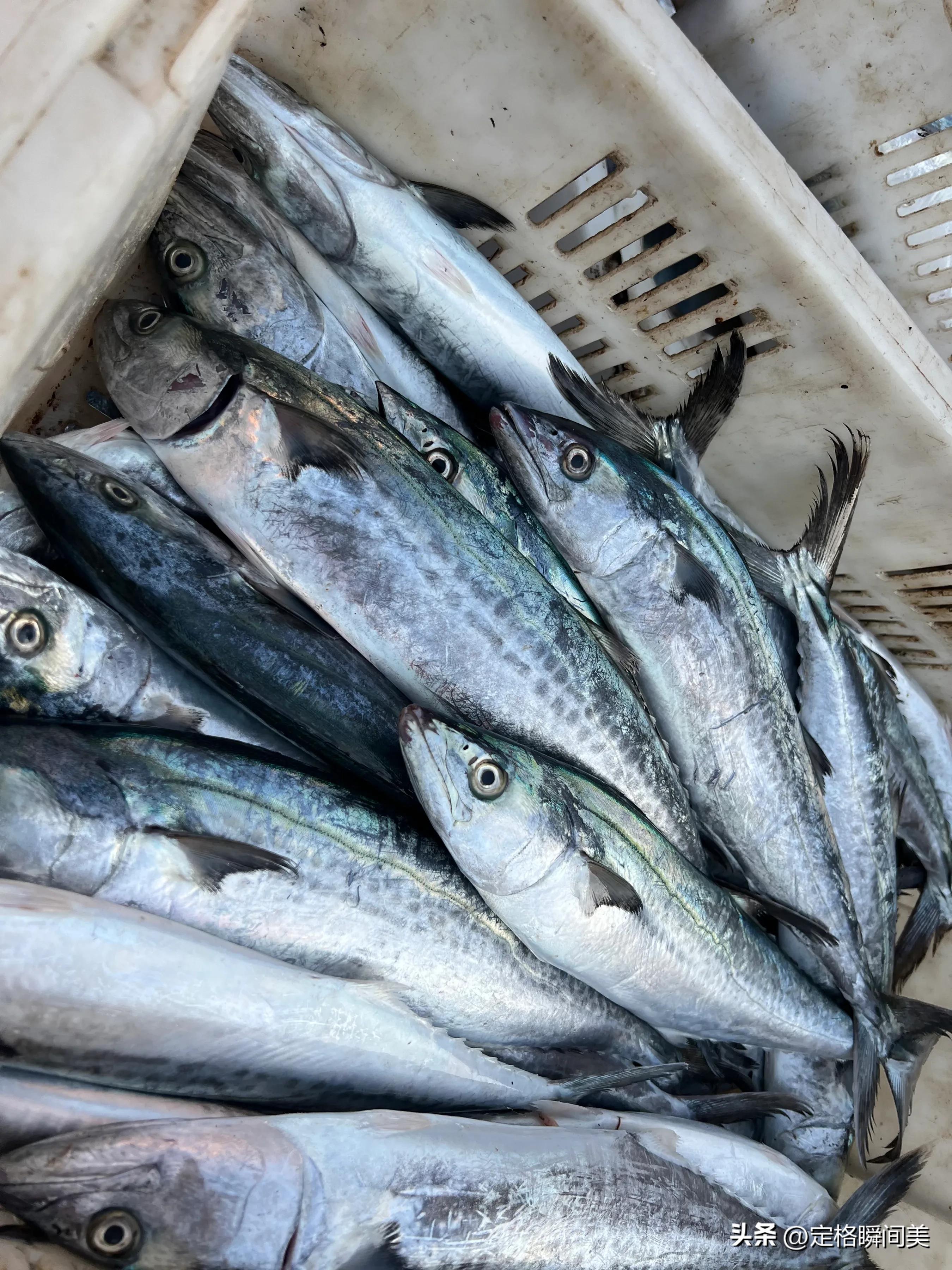 青岛冬季海鲜最便宜,青岛冬季便宜海鲜