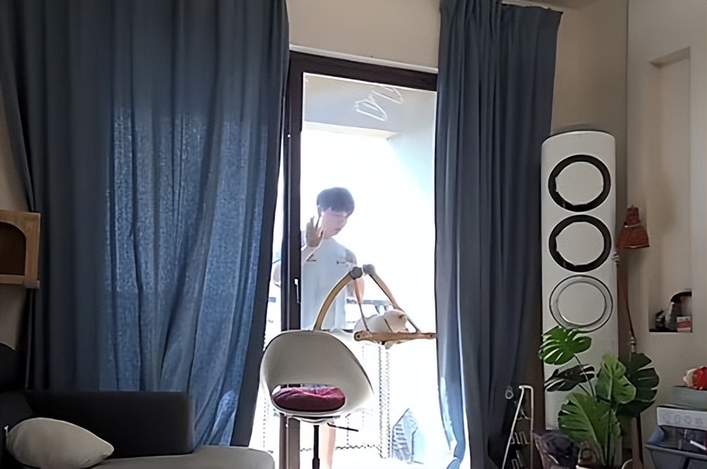 男子去阳台透气被猫反锁,被猫咪反锁在阳台