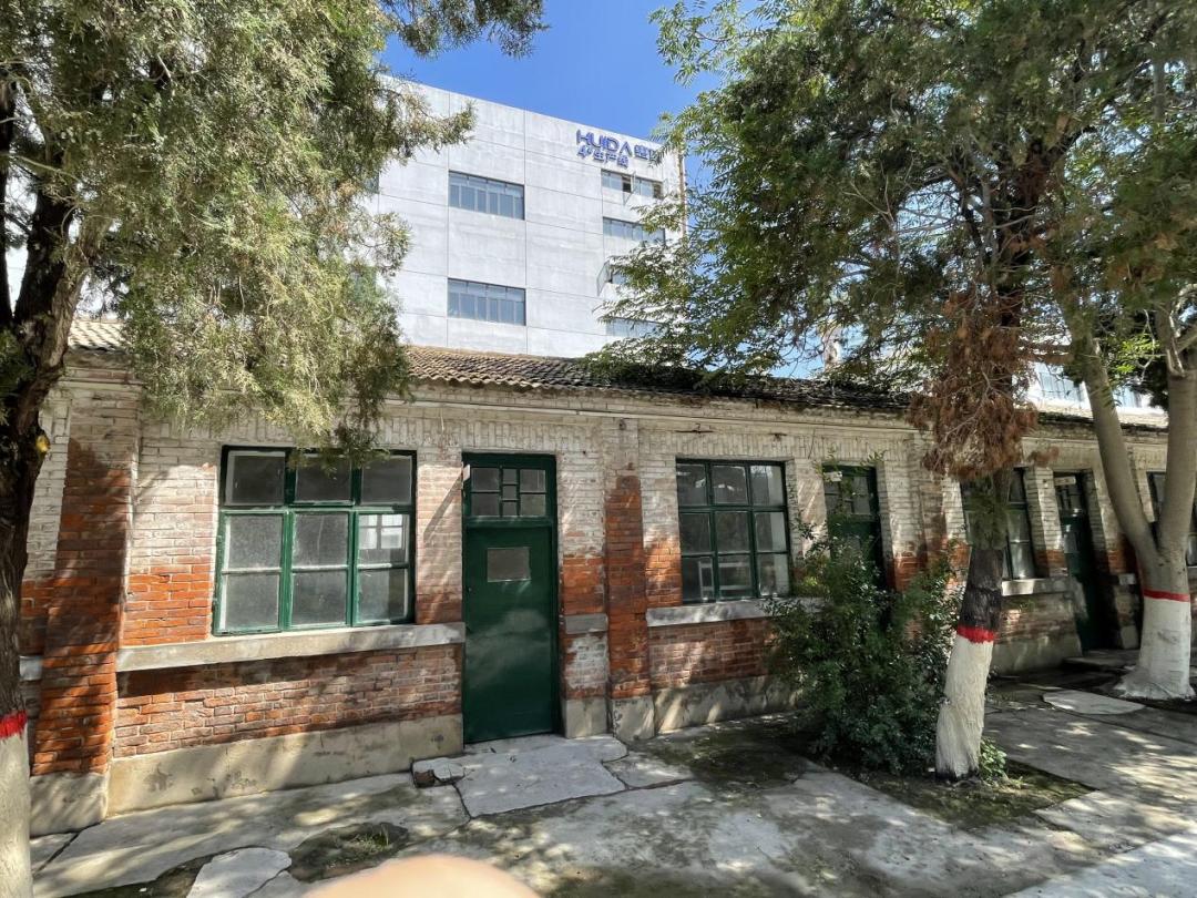 惠达黑猫叫什么,惠达小猫