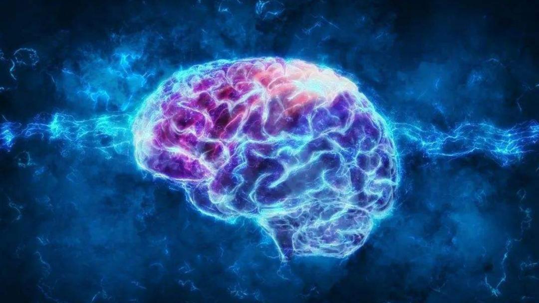 人类的大脑到底有多强大,人类的大脑是多少g的内存