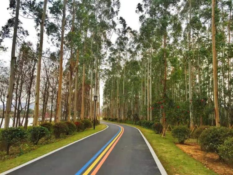 温州秋天的景,温州的秋天