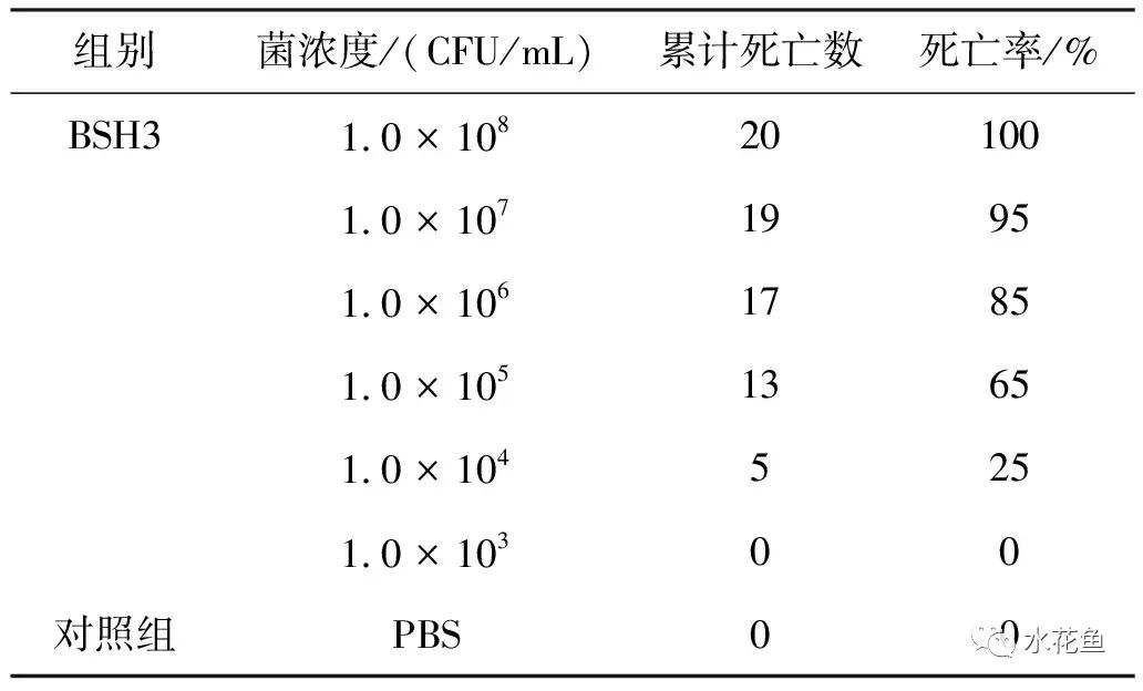 蛙歪头病：黑斑蛙歪头病病原米尔伊丽莎白菌分离、鉴定及特性分析