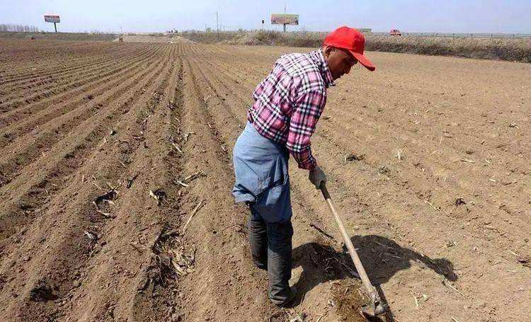 确权的耕地村干部能收回吗,农村土地确权了以后会重新分吗