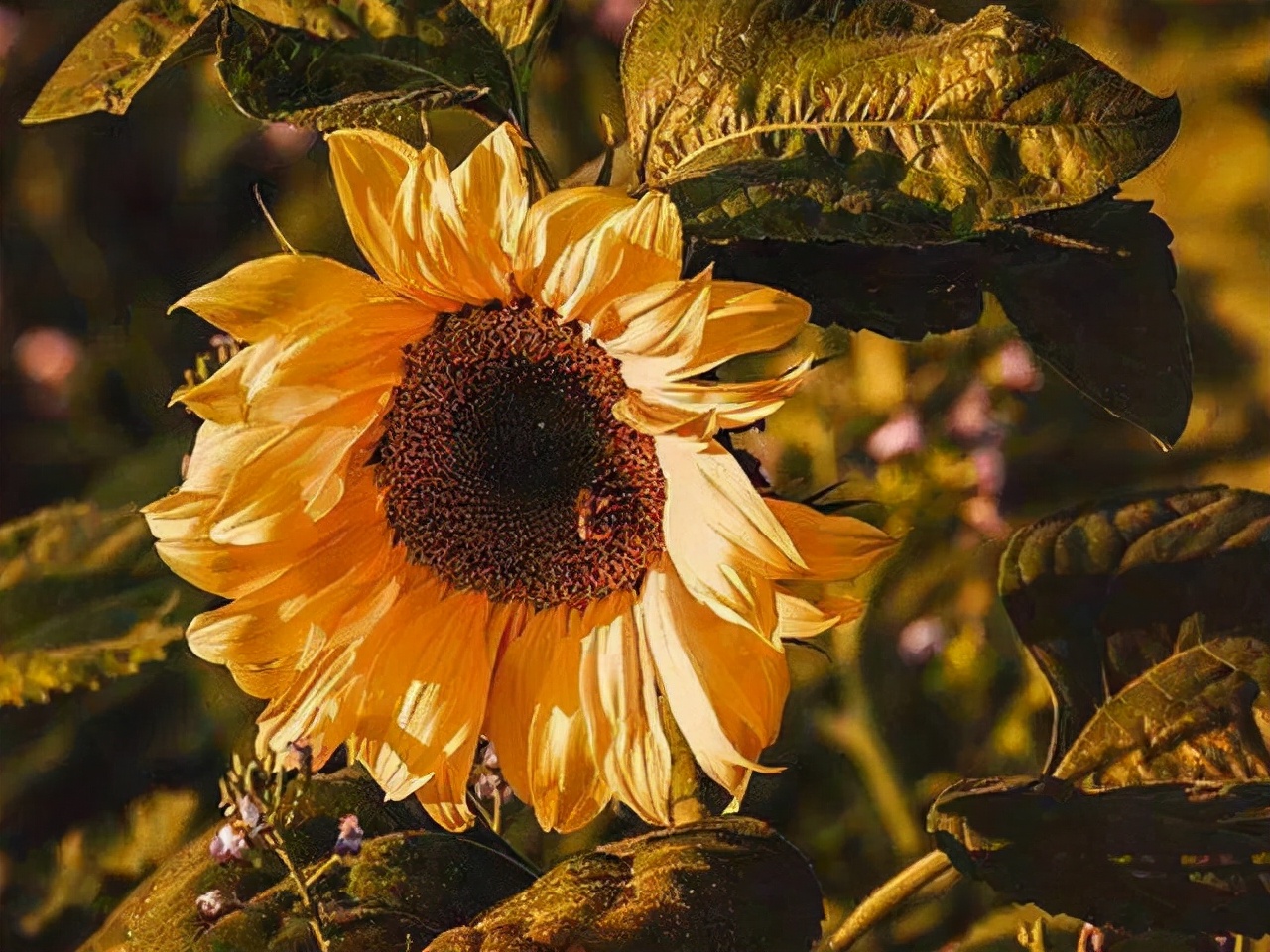 愧疚是维系一段感情最好的方法,对一个人很亏欠怎么说