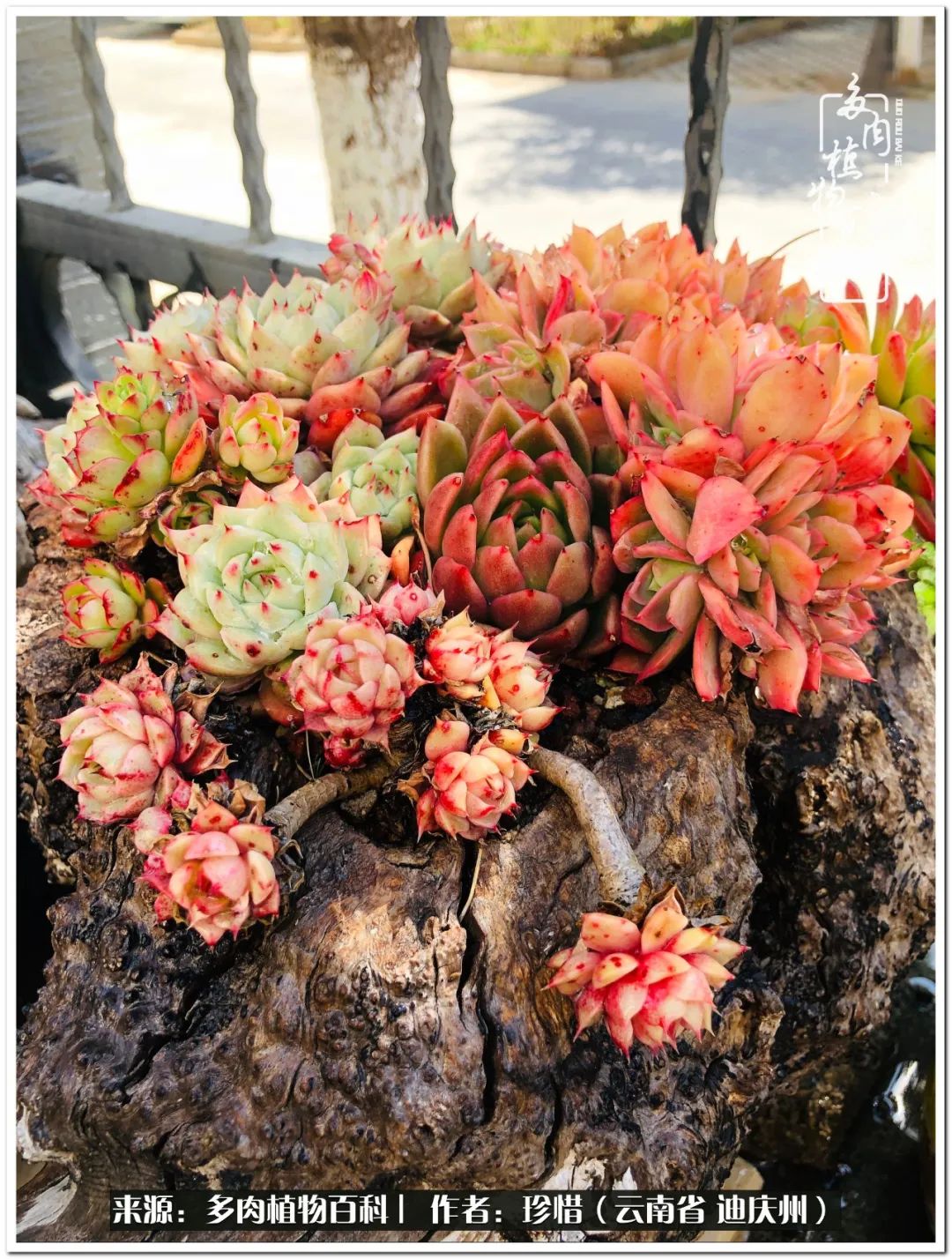 给生命一份淡然还岁月一份从容,给生命留一份洒脱的话