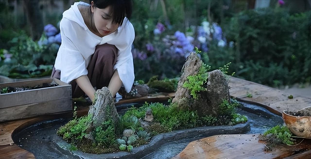 李子柒怎么会有那么大的院子,李子柒隐居山林度过惬意时光