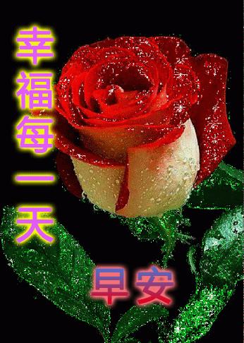 经典早安心语语录大集合36句,经典早安心语语录集锦55条