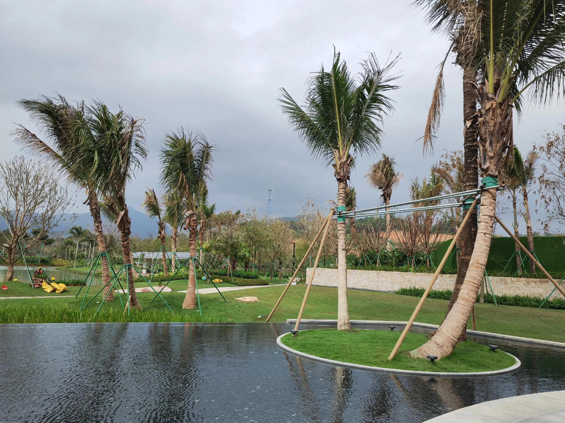 一车两人海南,一人一车自驾游海南怎么玩最实惠