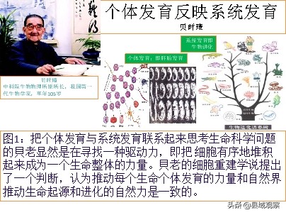 生命守护者人民的健康卫士,生命健康的守护者