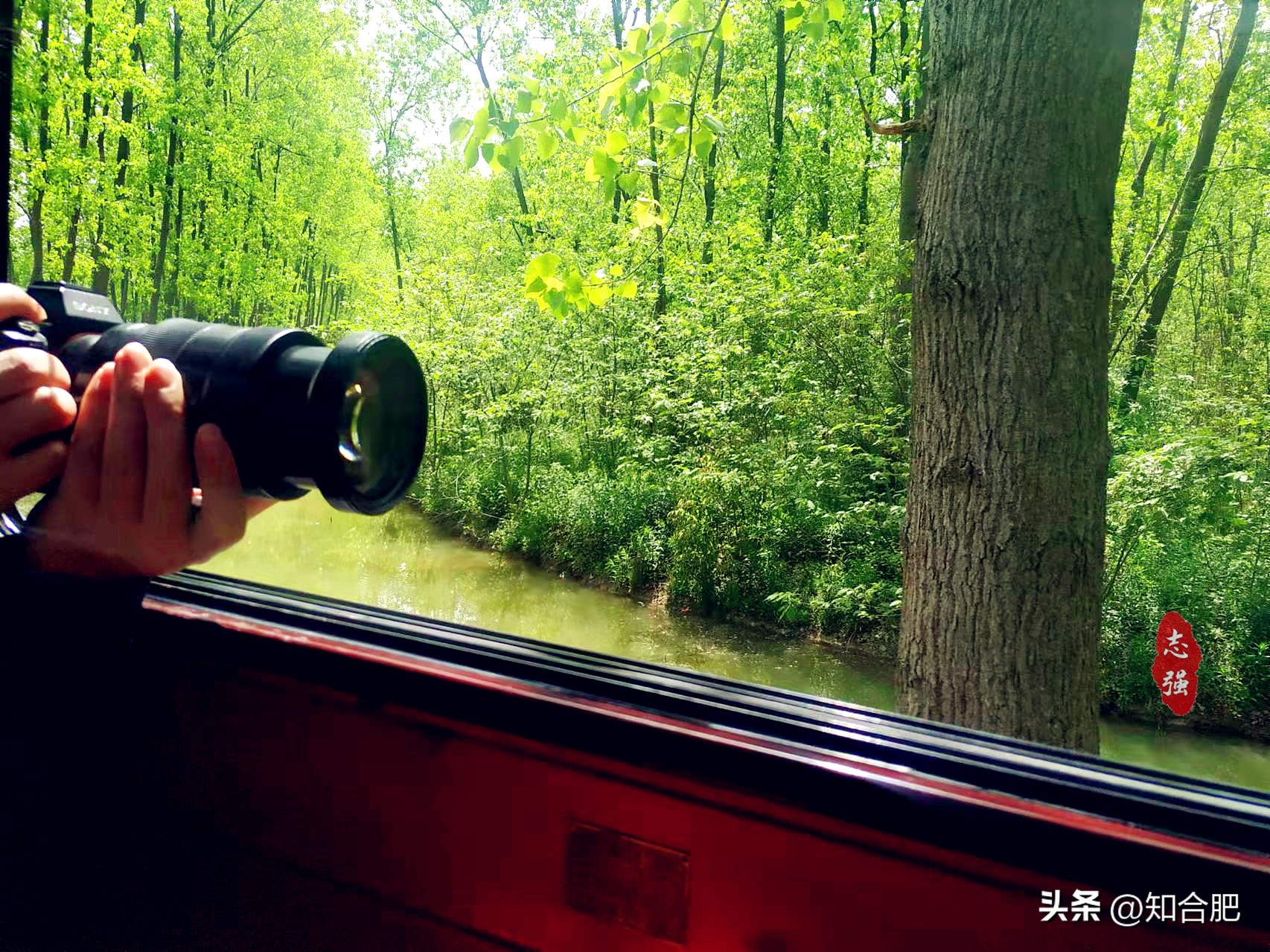 合肥五一有哪些景点可以去,合肥五一景点免费开放的地点