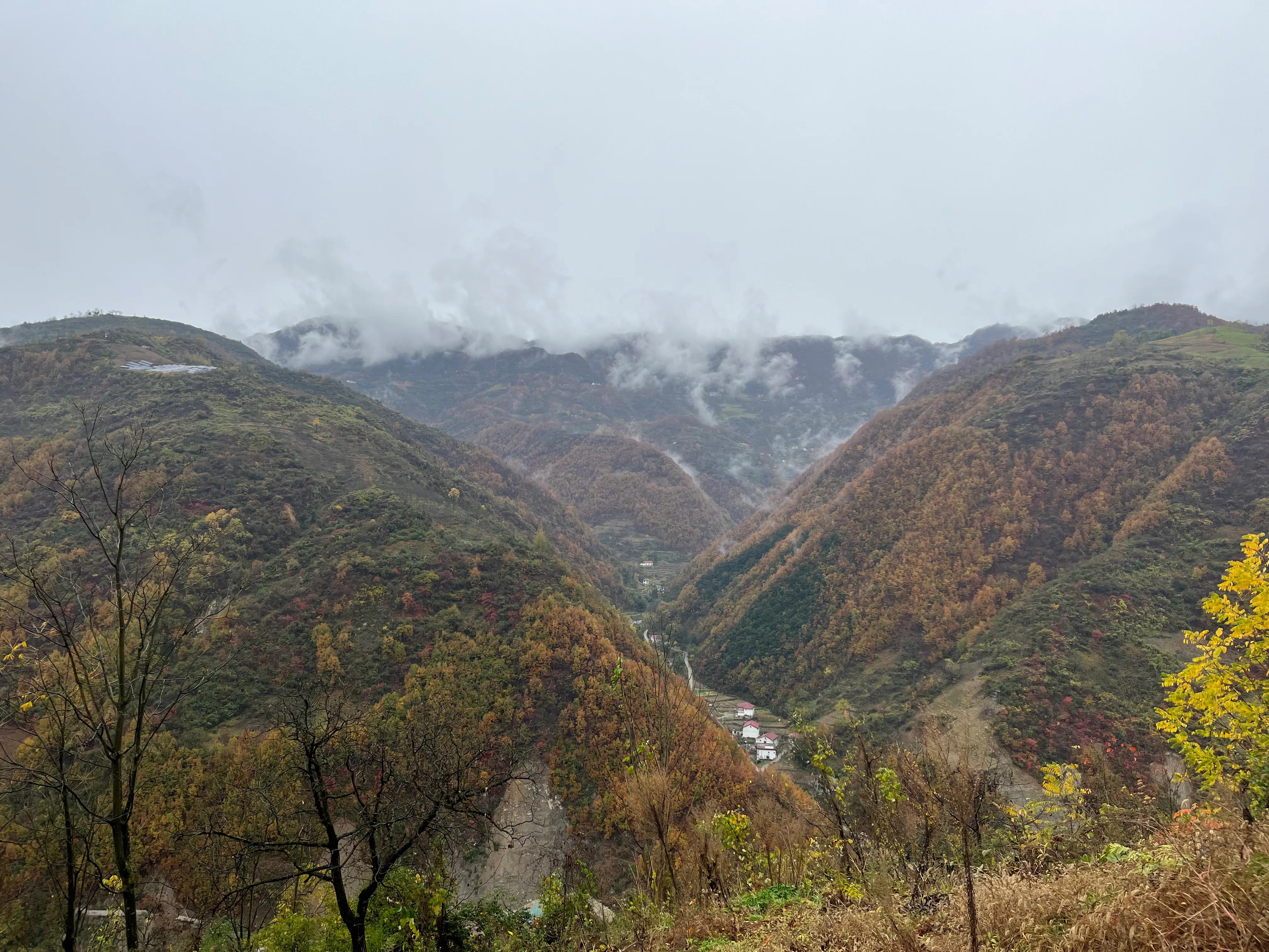 初冬的爱情感悟,初冬雪景的感悟