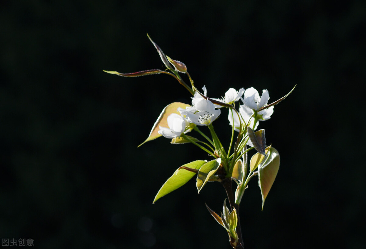 斑的形成，当您知道了原因之后，您就会明白，祛斑是不可取的