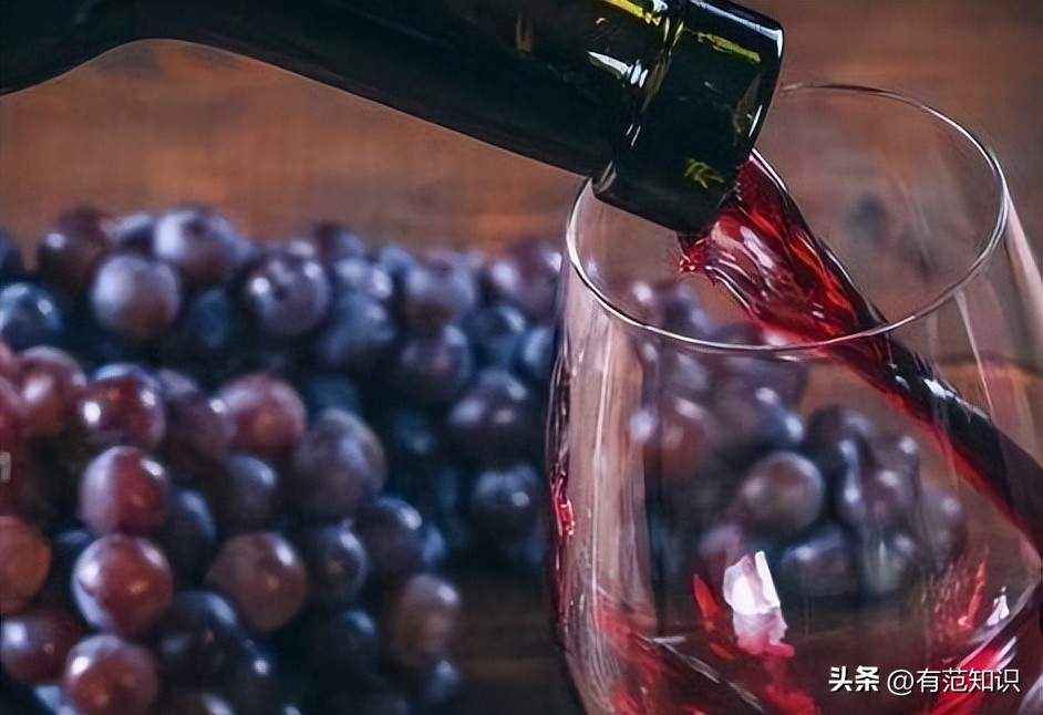 酿造葡萄酒的基本步骤,如何酿造香气扑鼻葡萄酒