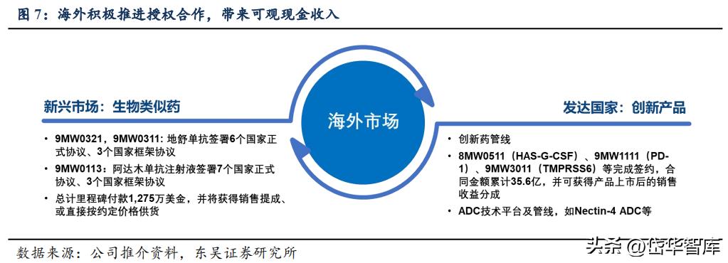 有效避开内卷，迈威生物：ADC锋芒初显，快速成长的Biopharma