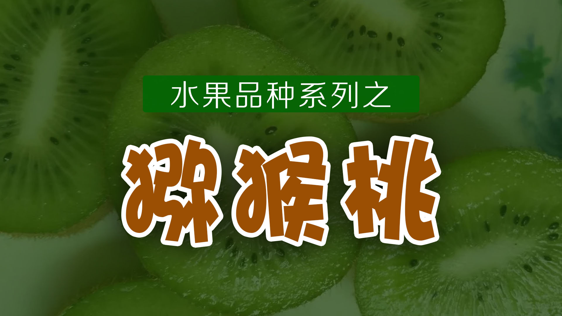 软枣猕猴桃是什么水果,猕猴桃低糖水果排行榜