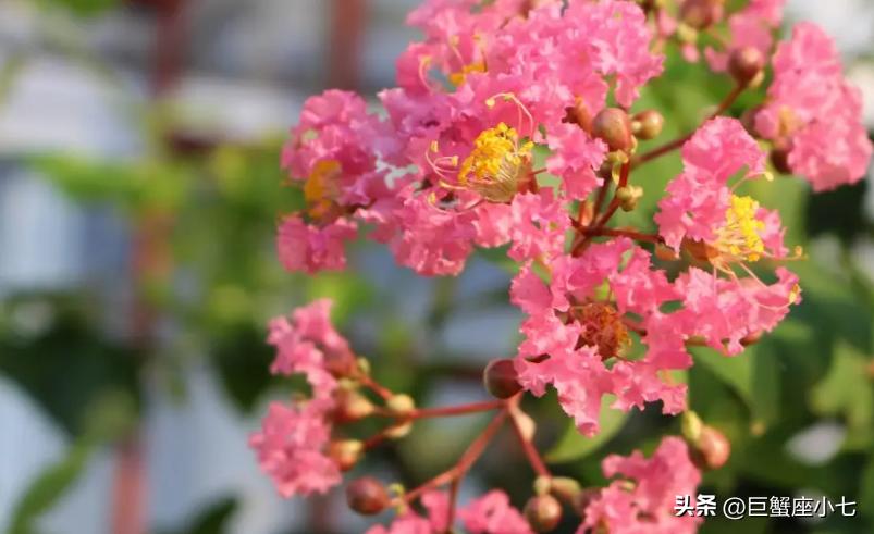 狠起来自己都害怕合集,最难驾驭的三大星座生来叛逆