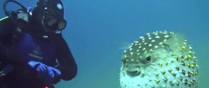 照相怎么避免眼镜反光,怎么避免眼镜反光看到电脑屏幕