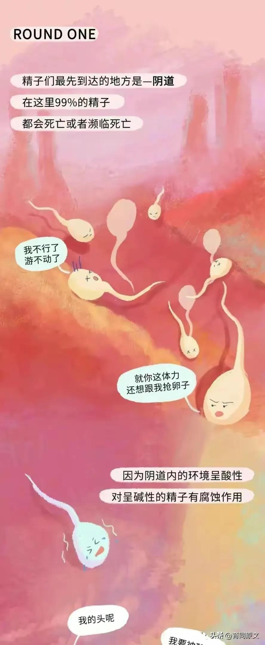 关于怀孕初期的漫画,漫画女性怀孕后都要经历些什么
