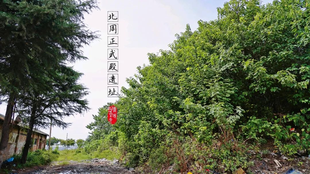 【陕西西安】汉长安城中的北周正武殿遗址帝王梦想的见证人