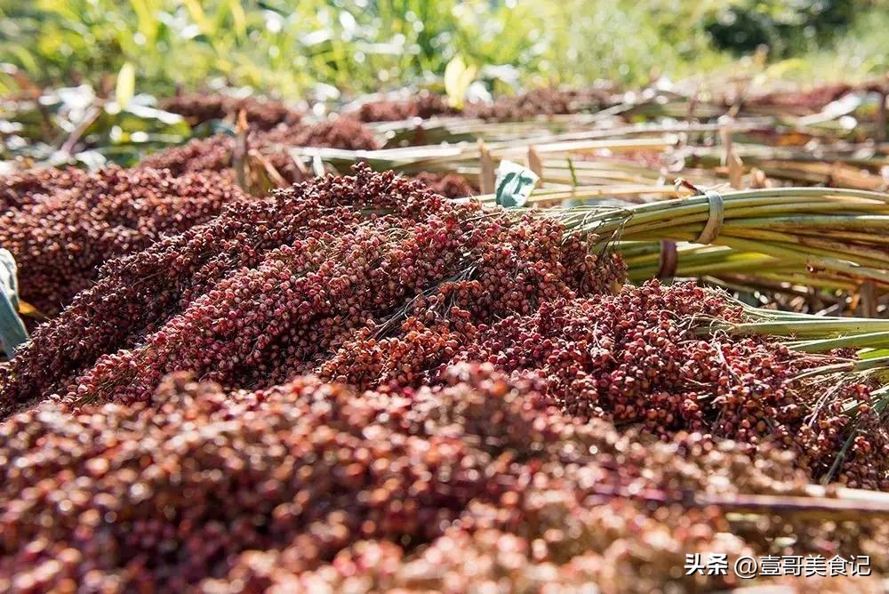 北京茅台名酒,北京二锅头小茅台