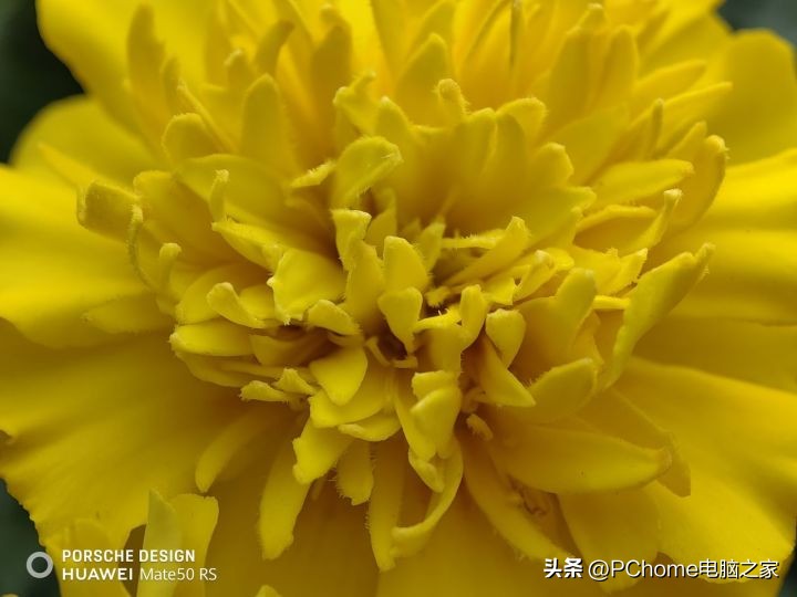 mate50rs保时捷微距真那么厉害吗,mate50保时捷最高支持超级微距