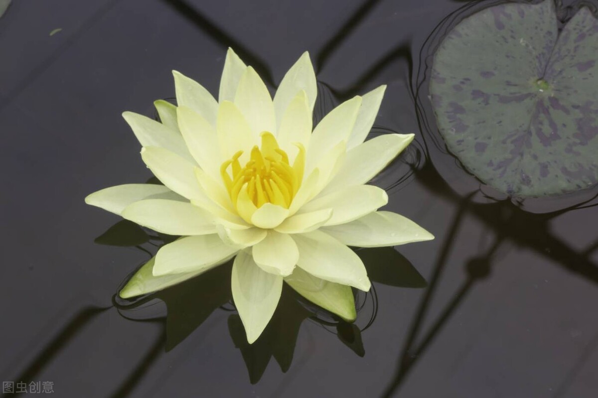 人一生都要行善积德多做善事,诸恶莫作众善奉行行善积德