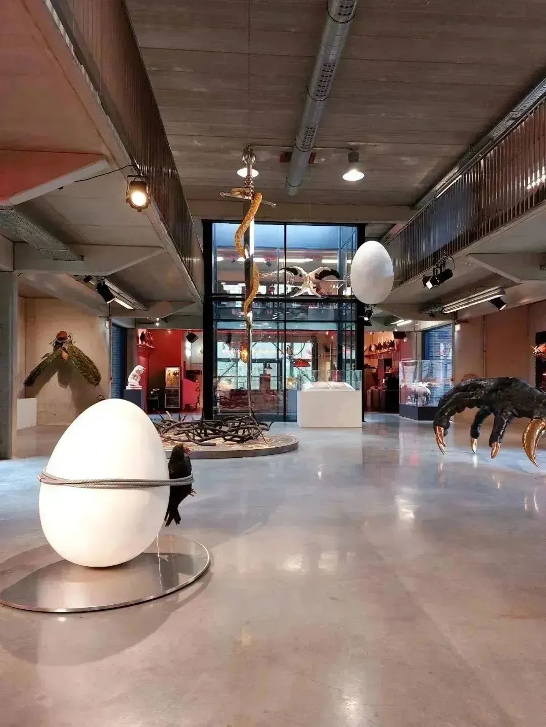 生命大熔炉！空降世界最疯的艺术养鸡工作室