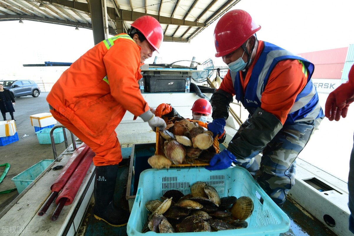 现在日本的海鲜中国还进口吗,日本海鲜进入中国的品种