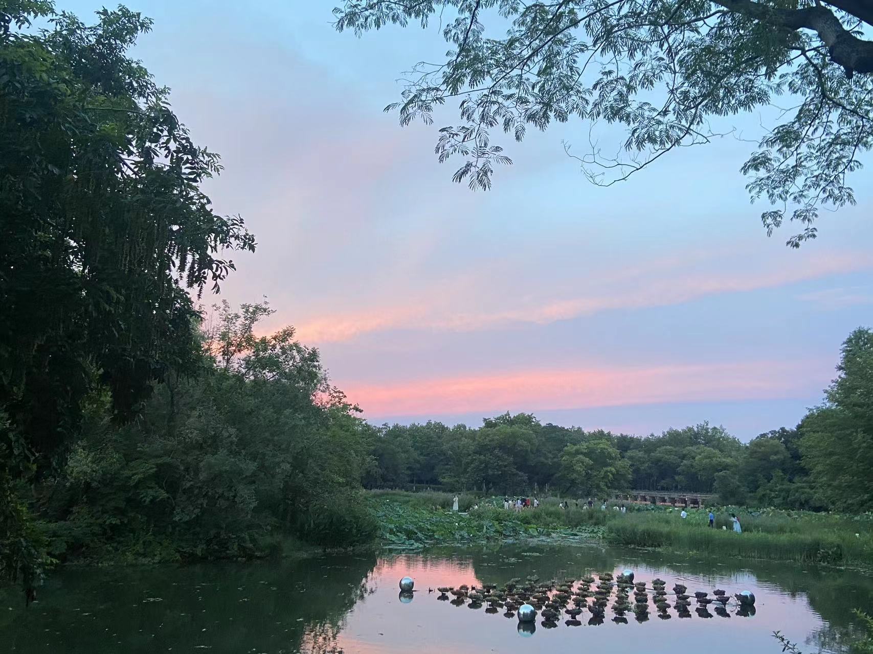 家里被虫咬又痒又痛,被虫子蛰了很痒