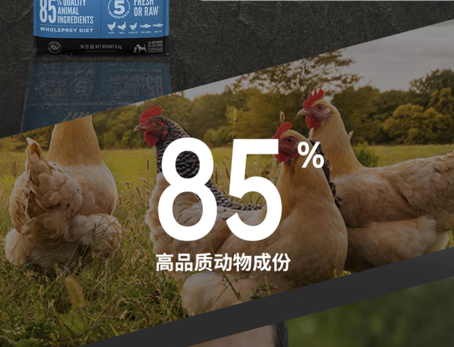 双11大型犬狗粮攻略,双11田园犬粮