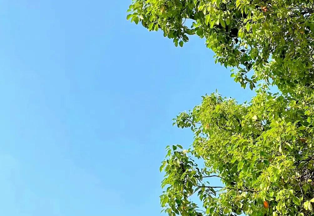 药物不良反应的处理流程存在问题,药物不良反应的对策