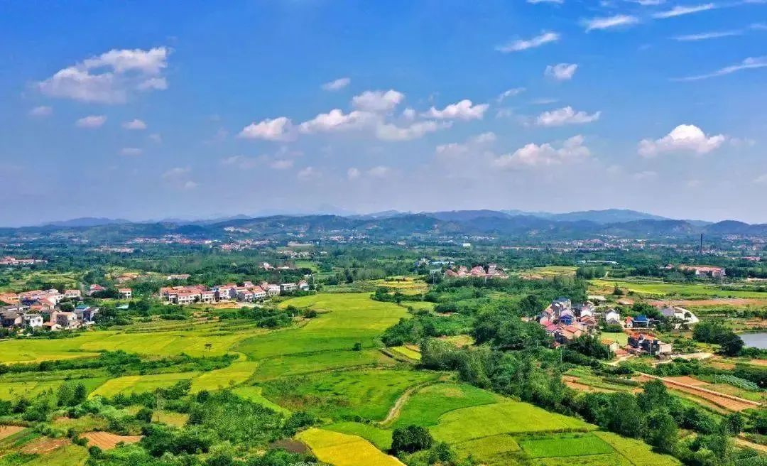 一街一品！乡村“玩”出新花样~