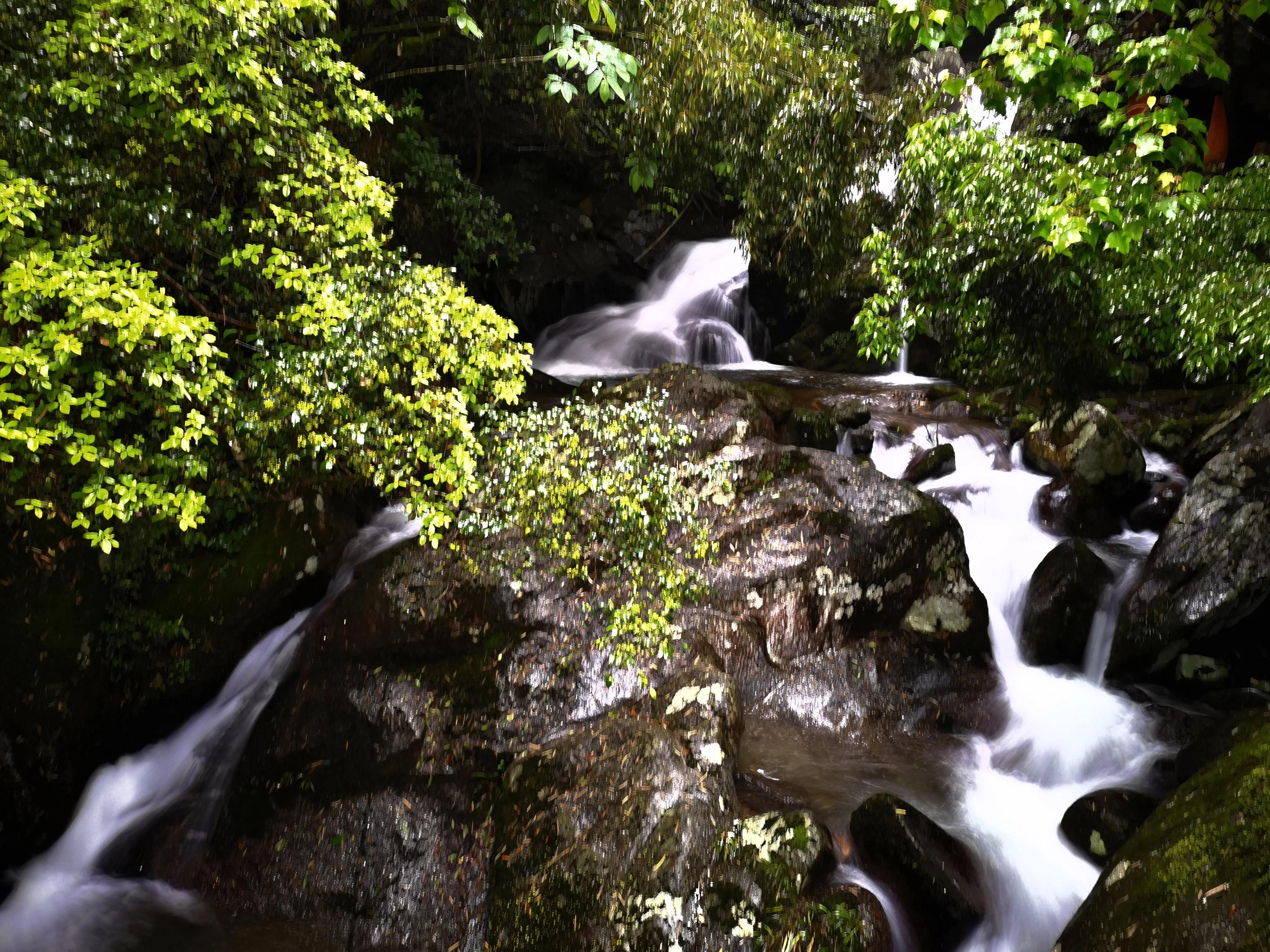 浏阳大围山森林公园浏阳河源头,大围山杜鹃花在哪个景点看