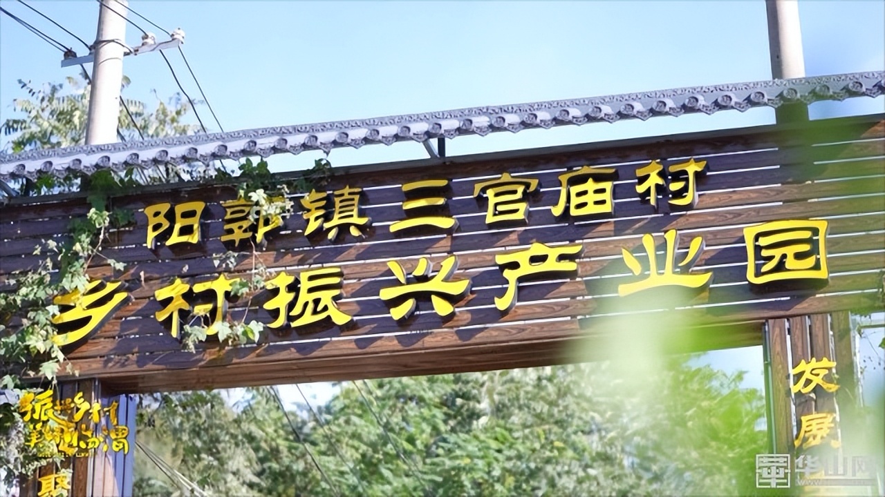 选调生助力乡镇,驻村干部助力乡村振兴