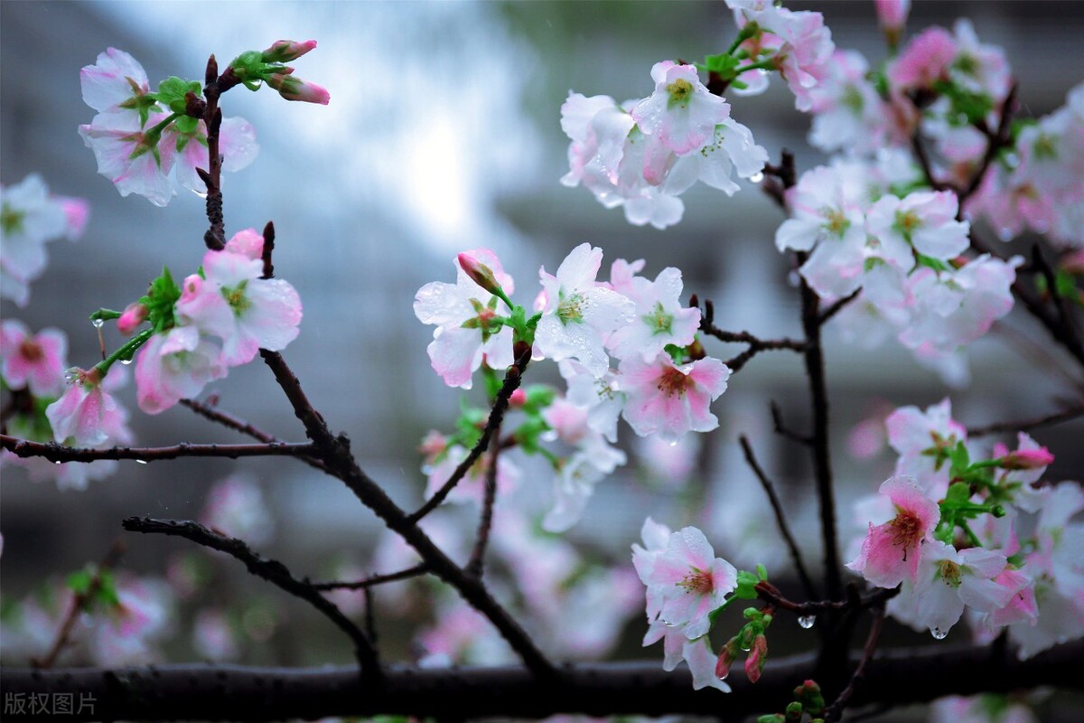 人生有一种境界叫做舍得,人生有一种境界叫留白