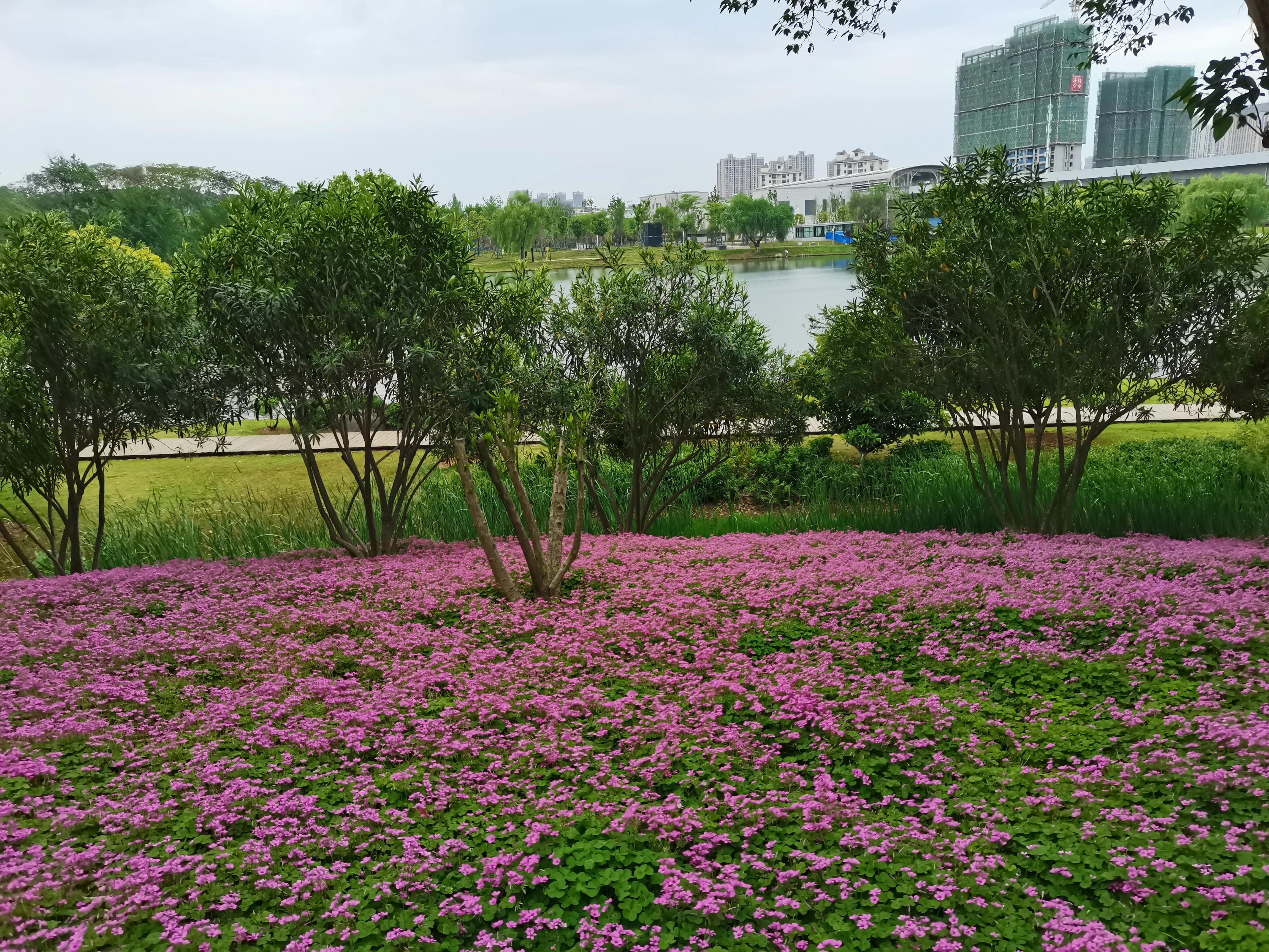 对幸福的理解文案,你对幸福的理解是什么意思