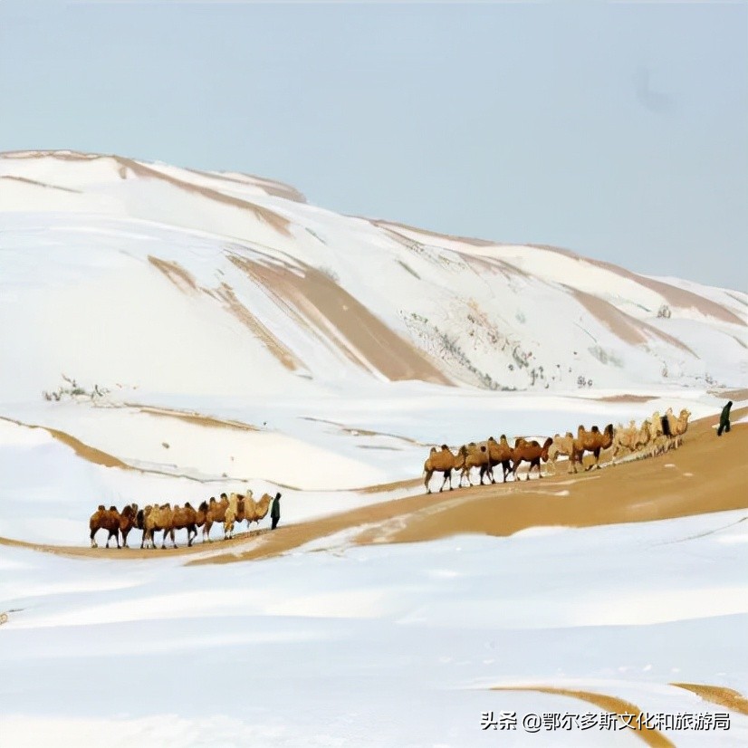 一个温暖的城市鄂尔多斯,鄂尔多斯一个温暖世界的城市