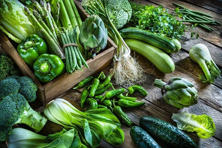 猫粮自制做法大全图解,猫粮怎么做自制手工