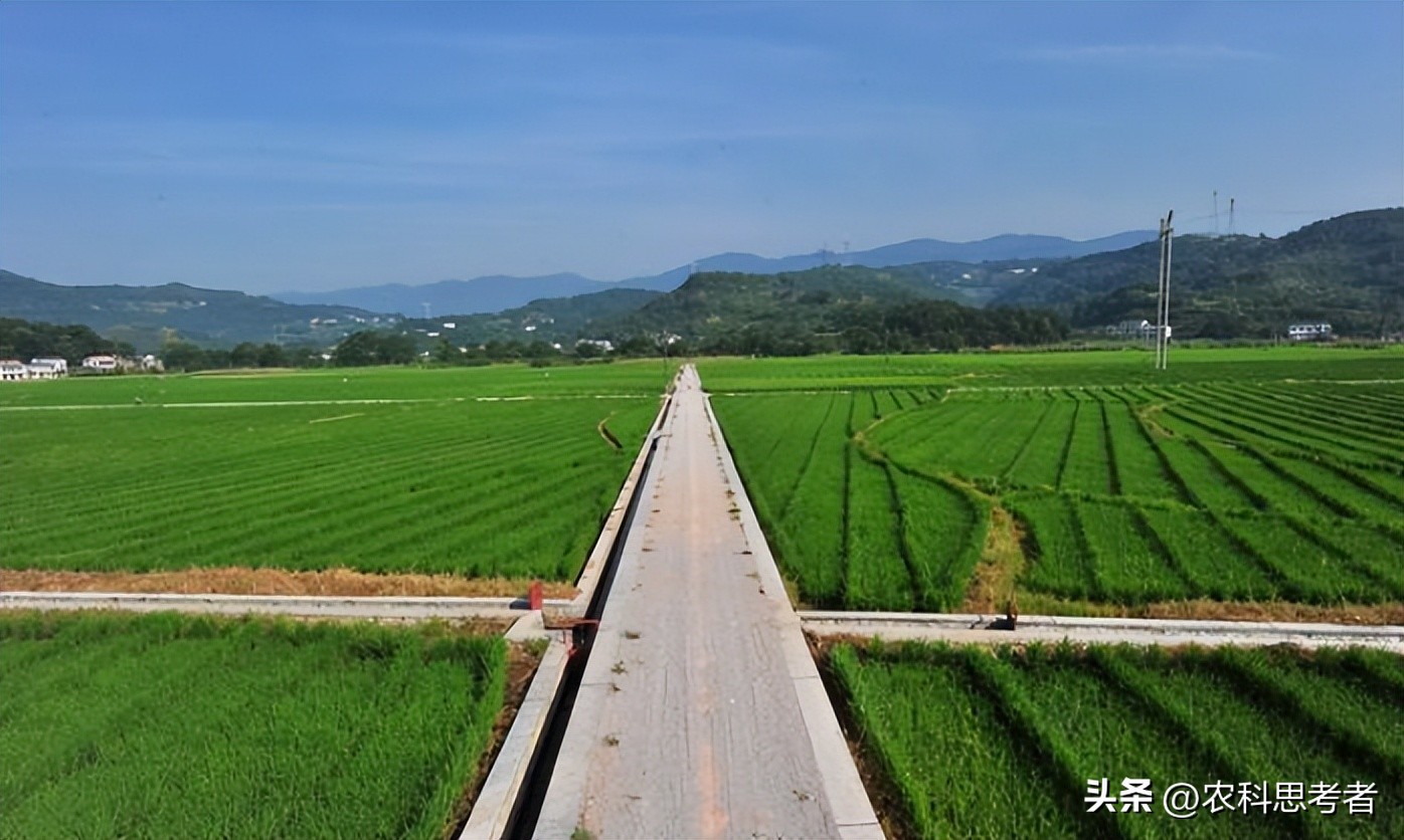 高标准农田建设多少钱一亩,永发乡高标准农田怎么建设