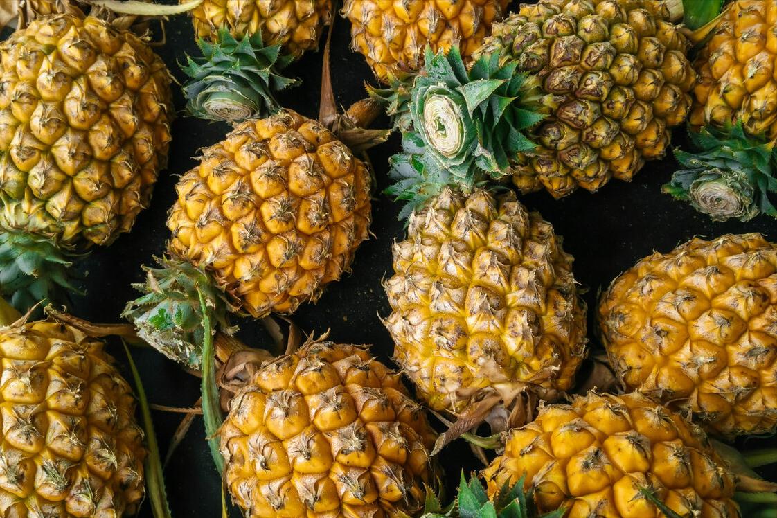 菠萝买叶长的叶短的,菠萝怎么鉴别好坏图解大全