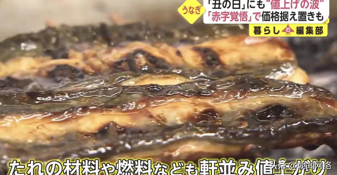 日本人的夏天为什么离不开鳗鱼？
