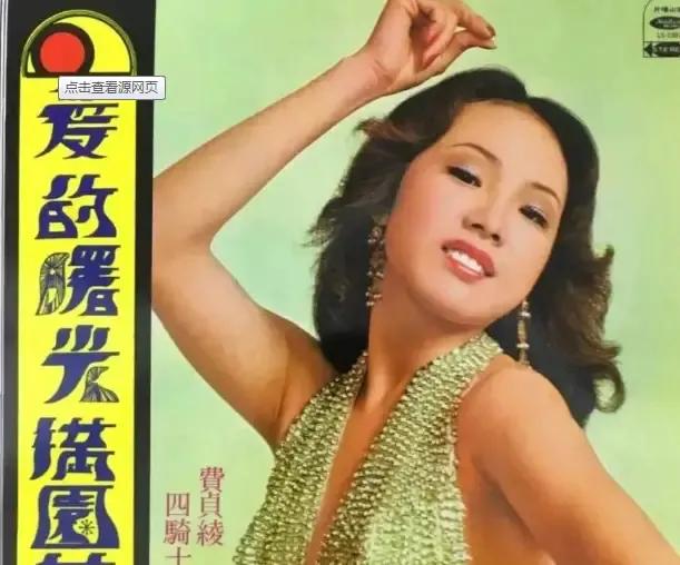 费玉清退出娱乐圈干什么去了,恒述法师怒怼费玉清一毛不拔