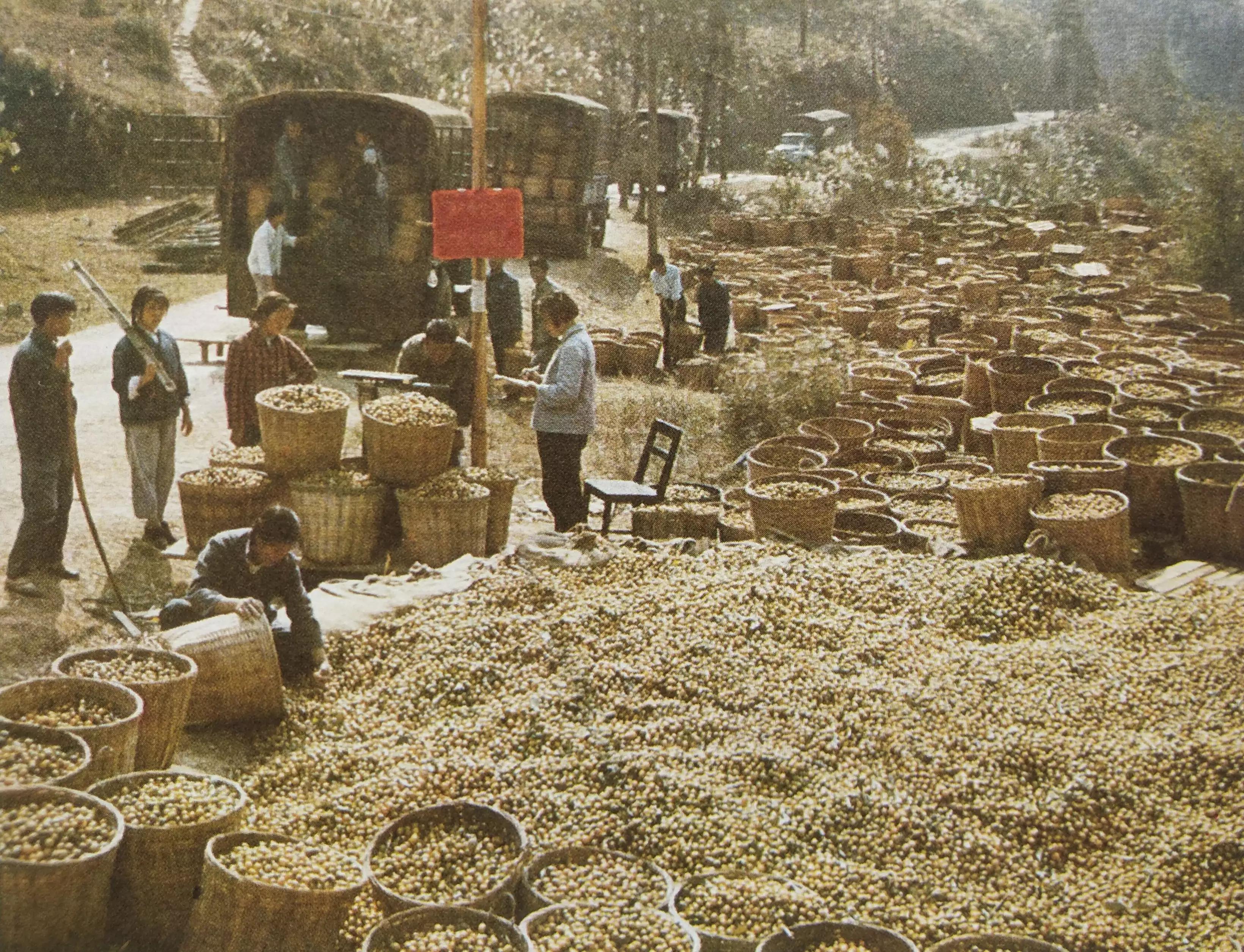 怀旧一下经典图片,怀旧经典图片欣赏