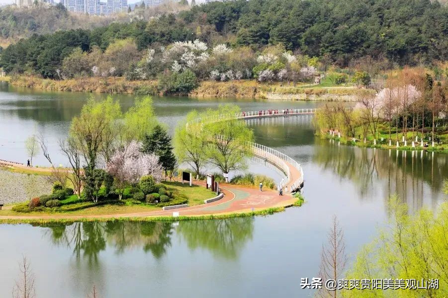 观山湖区文旅项目,观山湖区文旅