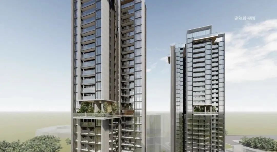 龙岗区大运新楼盘星龙园,大运核心区新楼盘