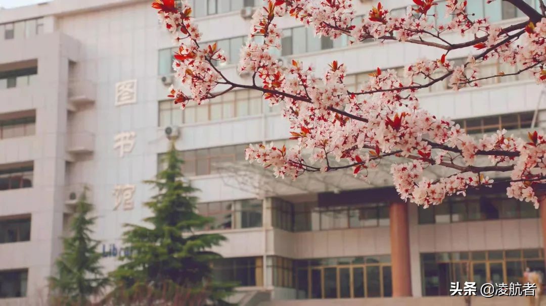 共赴春之约携手新征程,共赴春天之约携手砥砺前行