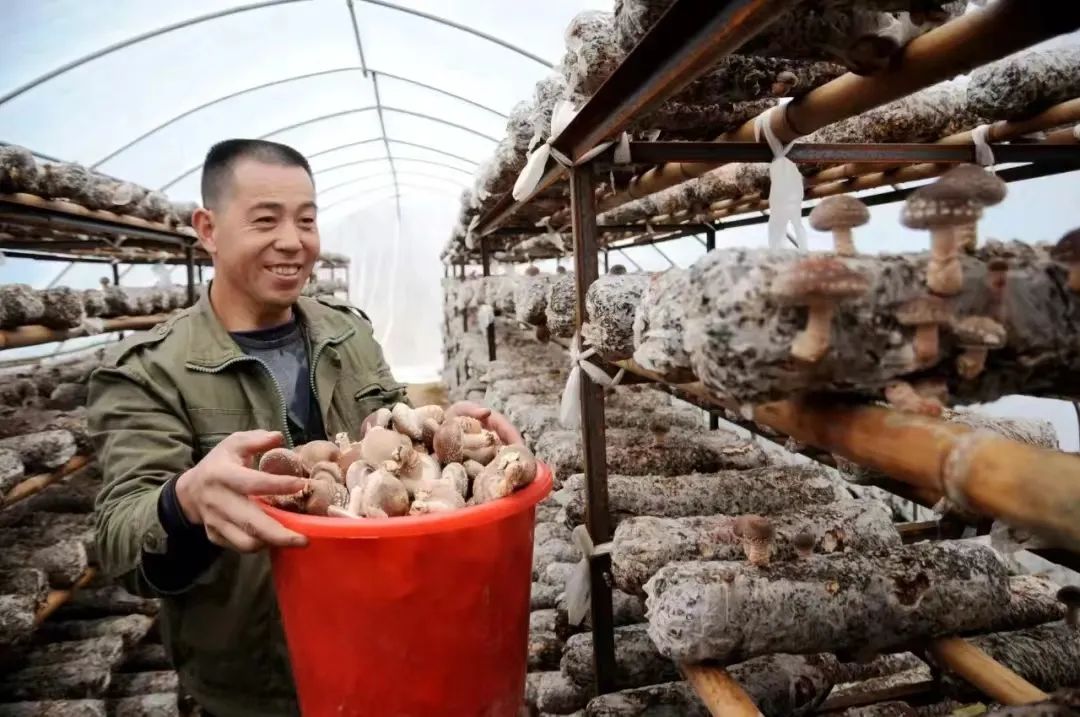 春夏农业生产,一季度各地全力抓好春季农业生产