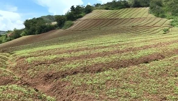 农民工顶着高温也要干农活,基层农民工每天的工作