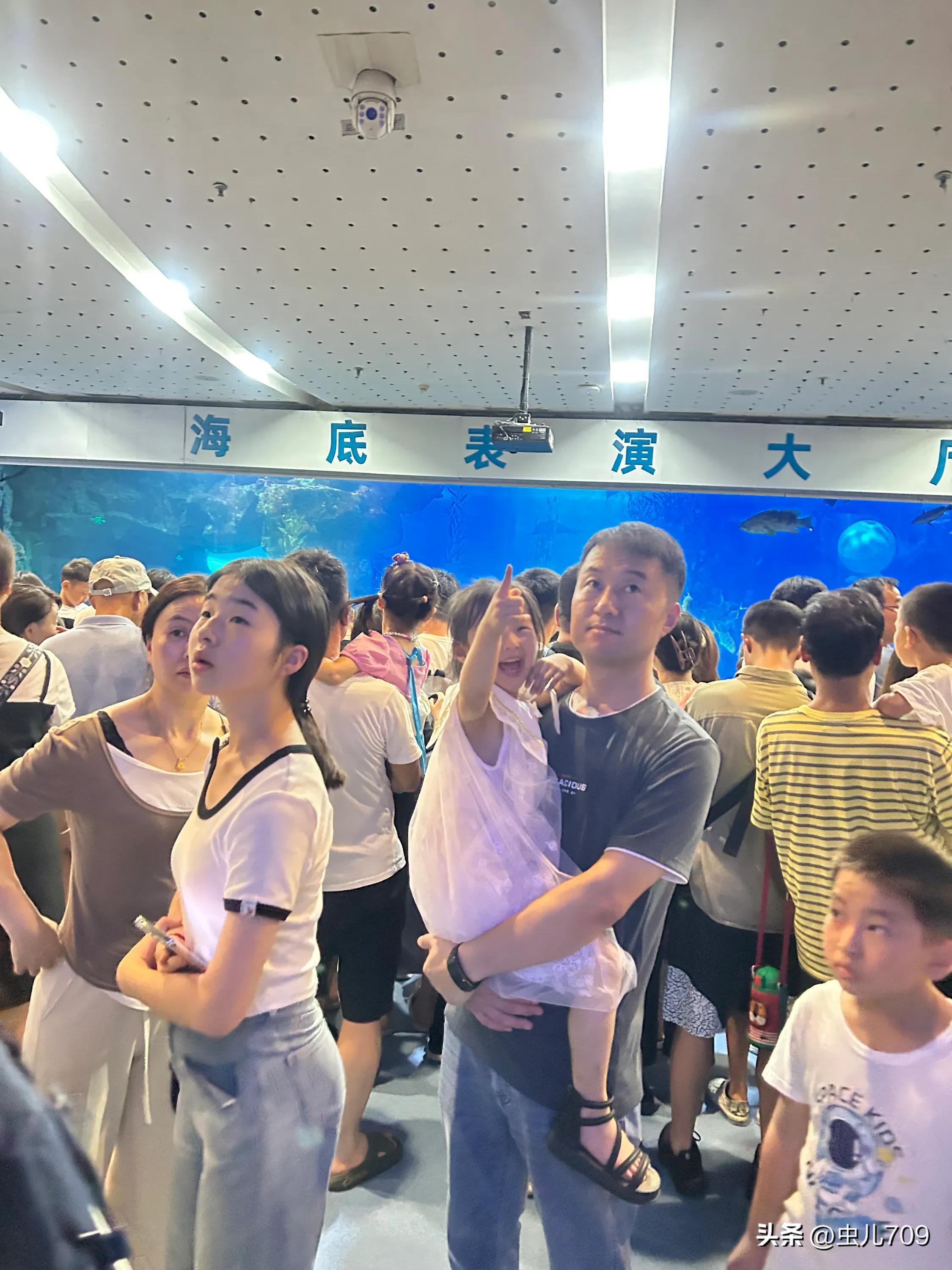 青岛海底世界视频,青岛海底世界和极地海洋世界